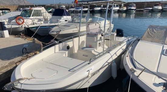 Bayliner ELEMENT CC7 usata in vendita