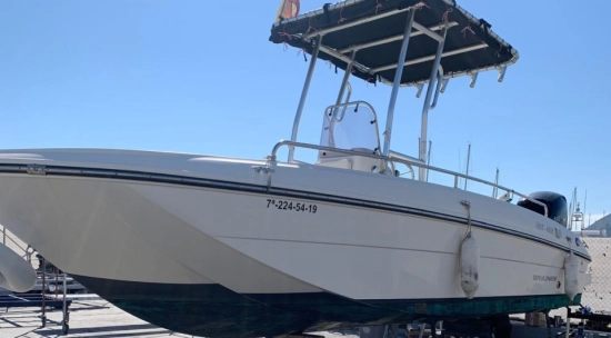 Bayliner ELEMENT CC7 usata in vendita