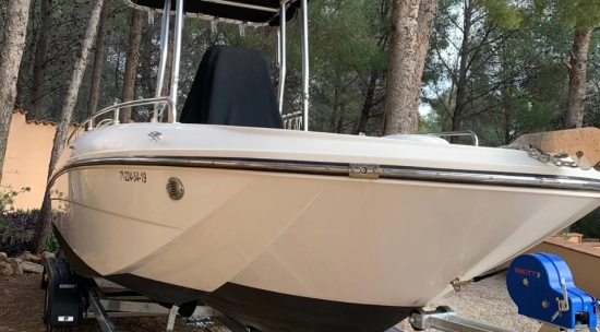 Bayliner ELEMENT CC7 usata in vendita