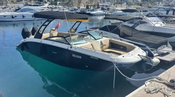 Sea Ray SDX 290 OB usata in vendita