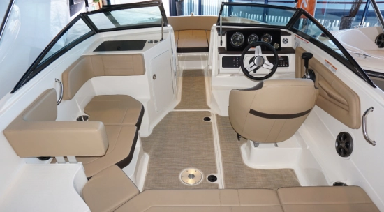 Sea Ray SPX 190 de segunda mano en venta