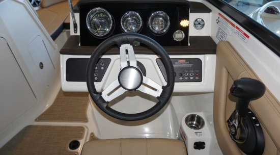 Sea Ray SPX 190 de segunda mano en venta