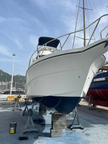 Rodman 870 de segunda mano en venta