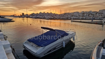 Sea Ray 230 de segunda mano en venta