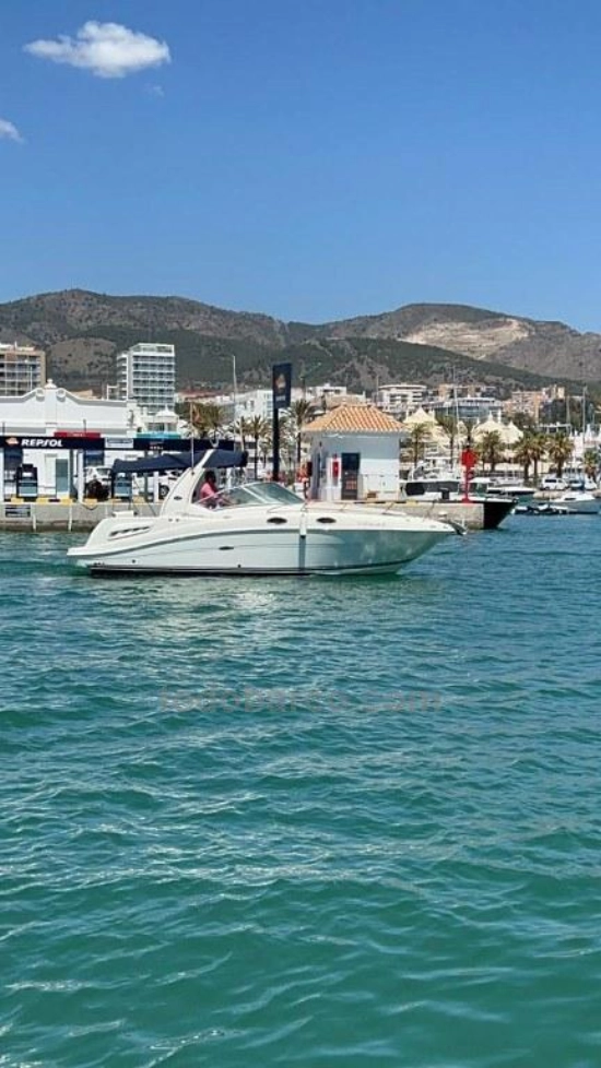 Sea Ray Sundancer 275 usata in vendita