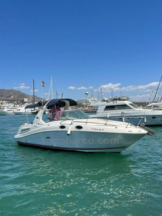 Sea Ray Sundancer 275 usata in vendita