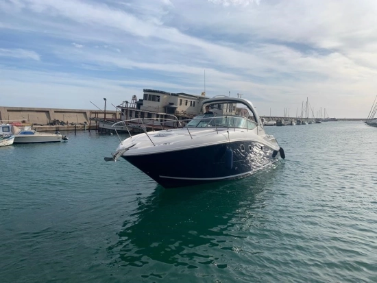 Sea Ray Sundancer 355 usata in vendita