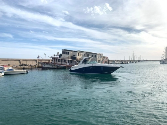 Sea Ray Sundancer 355 usata in vendita