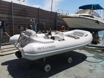 Williams 325 Tj de segunda mano en venta