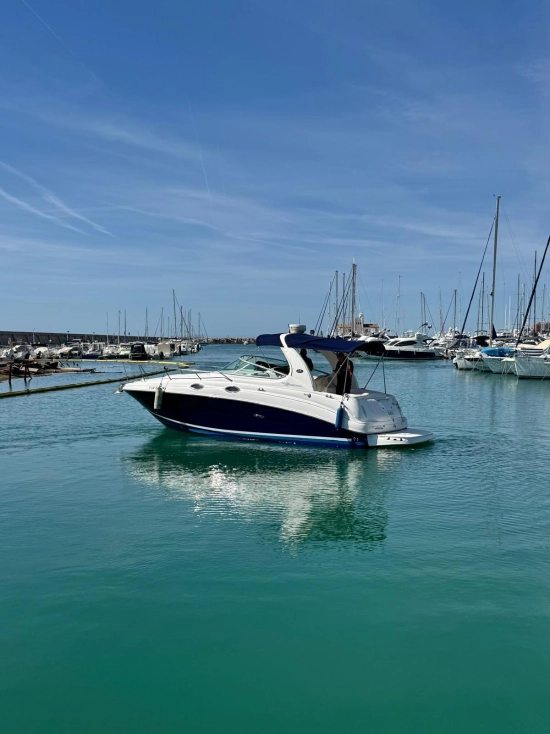 Sea Ray Sundancer 315 usata in vendita