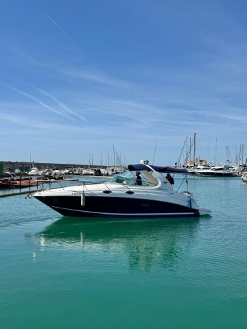 Sea Ray Sundancer 315 usata in vendita