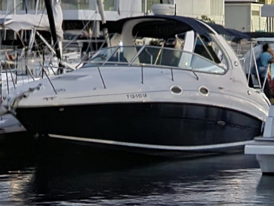 Sea Ray Sundancer 315 usata in vendita