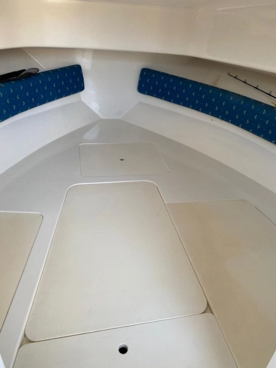 Faeton Moraga 630 Top de segunda mano en venta