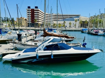 Sea Ray 290 Bow Rider de segunda mano en venta