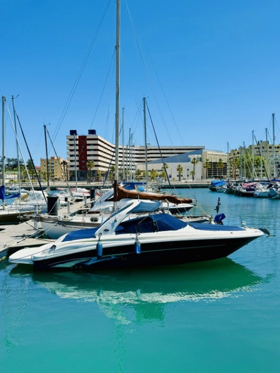 Sea Ray 290 Bow Rider de segunda mano en venta