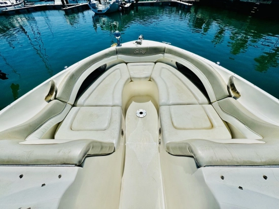 Sea Ray 290 Bow Rider de segunda mano en venta