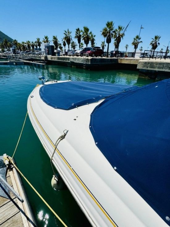 Sea Ray 290 Bow Rider de segunda mano en venta
