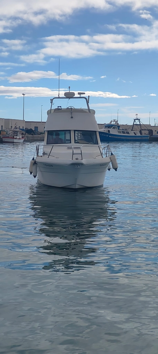 Starfisher 840 Fly usata in vendita