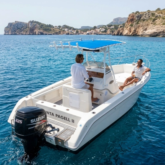 Wellcraft 238 CCF center console usado à venda