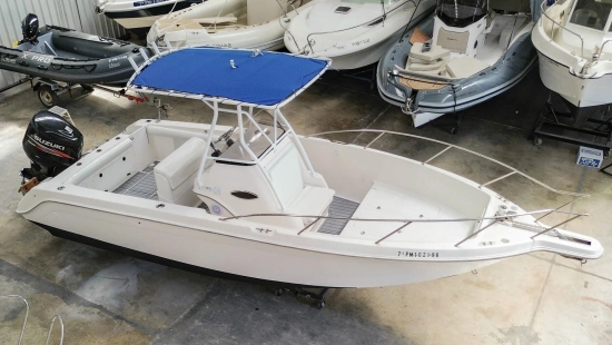 Wellcraft 238 CCF center console de segunda mano en venta