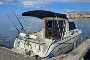 Ocqueteau 645 de segunda mano en venta