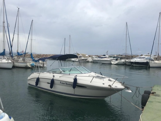 Sea Ray 225 Weekender usado à venda
