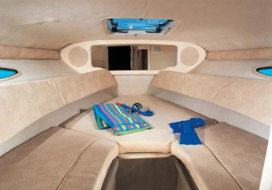 Sea Ray 225 Weekender usado à venda