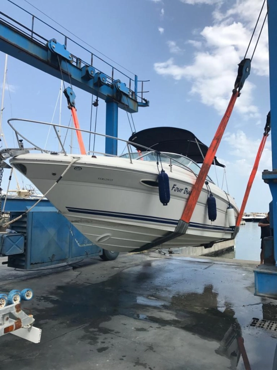 Sea Ray 225 Weekender usado à venda