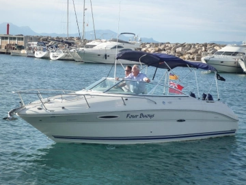 Sea Ray 225 Weekender usado à venda