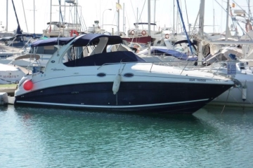Sea Ray Sundancer 315 usata in vendita
