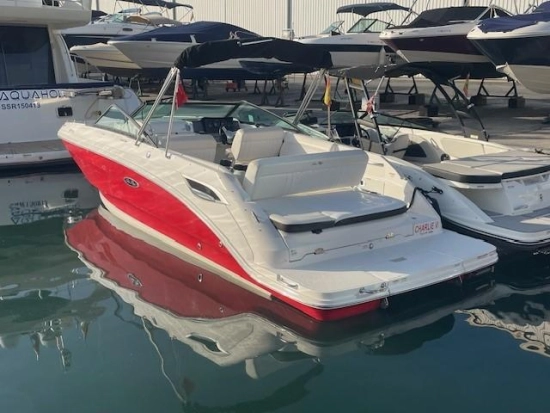 Sea Ray SDX 250 usata in vendita