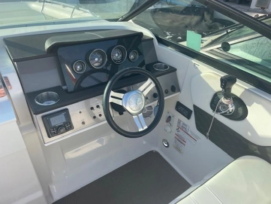 Sea Ray SDX 250 usata in vendita