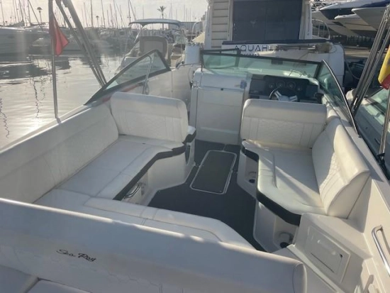 Sea Ray SDX 250 usata in vendita