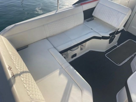 Sea Ray SDX 250 usata in vendita