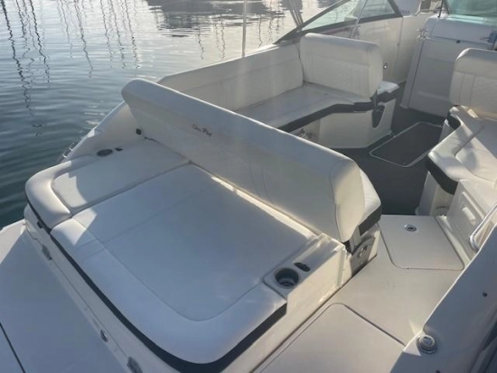Sea Ray SDX 250 usata in vendita