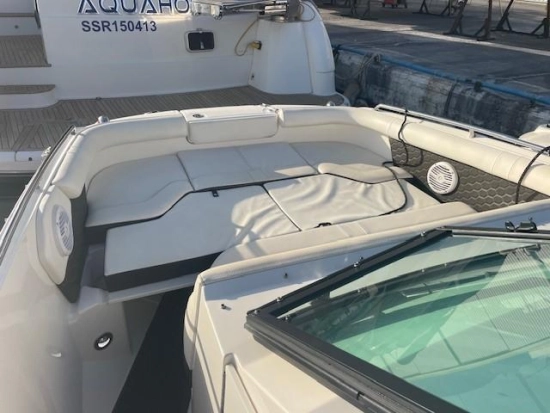 Sea Ray SDX 250 usata in vendita
