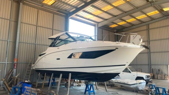 Sea Ray Sundancer 320 usata in vendita