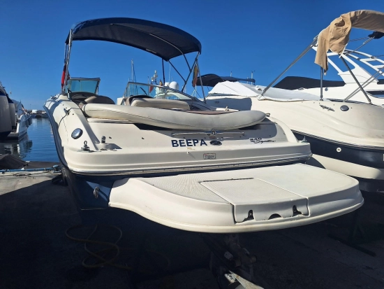 Sea Ray 240 Bow Rider usata in vendita
