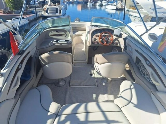 Sea Ray 240 Bow Rider usata in vendita