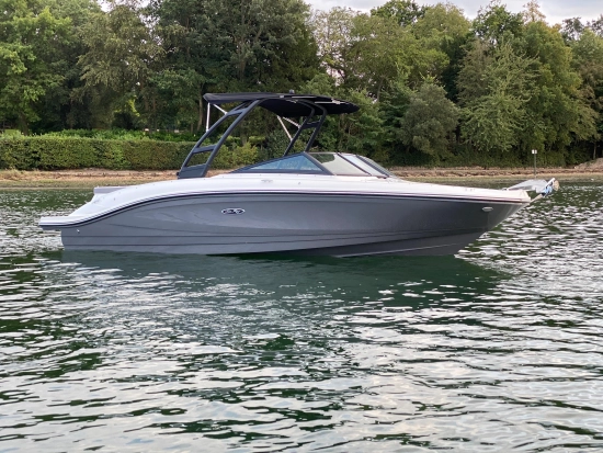 Sea Ray SPX 210 usata in vendita