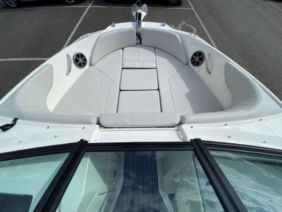 Sea Ray SPX 210 usata in vendita