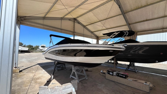 Sea Ray SPX 19 usata in vendita