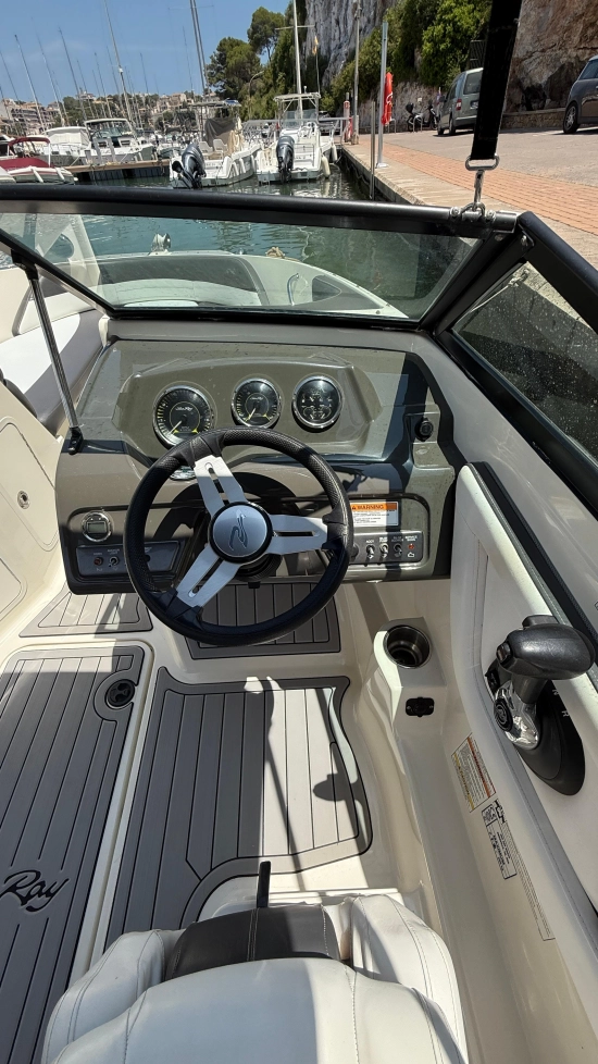 Sea Ray SPX 19 usata in vendita