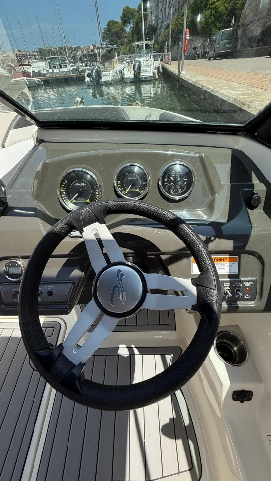 Sea Ray SPX 19 usata in vendita