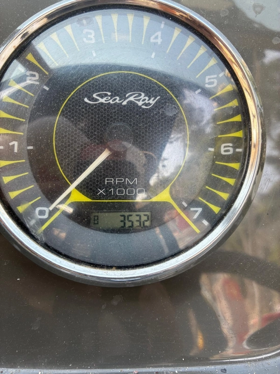 Sea Ray SPX 19 usata in vendita