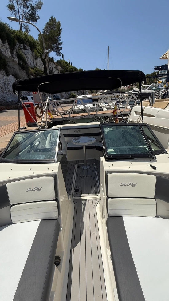 Sea Ray SPX 19 usata in vendita