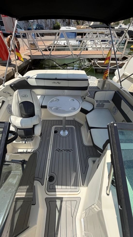 Sea Ray SPX 19 usata in vendita