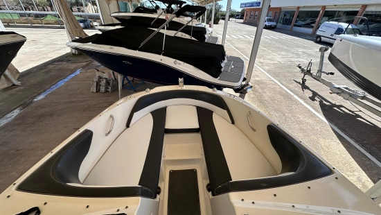Sea Ray SPX 19 usata in vendita