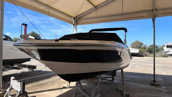 Sea Ray SPX 19 usata in vendita