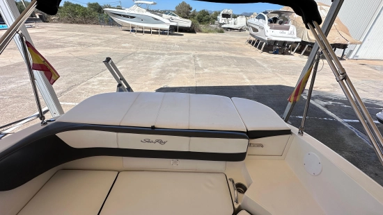 Sea Ray SPX 19 usata in vendita